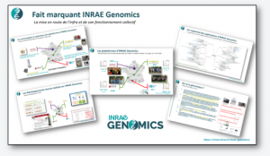 FM INRAE Genomics 2020 petit