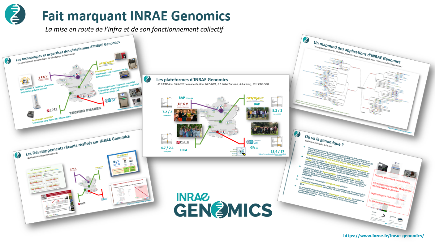 FM INRAE Genomics 2020